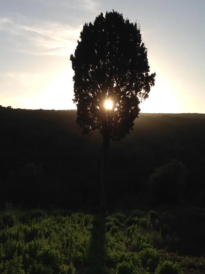 Bed & Breakfast B&B Il Vecchio Molino Quercianella Italy