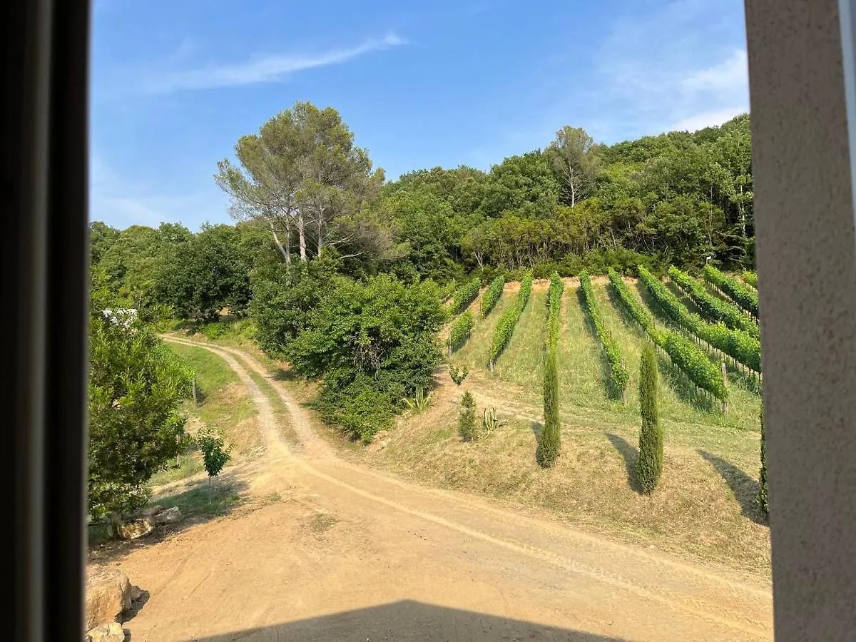 B&B Il Vecchio Molino Quercianella