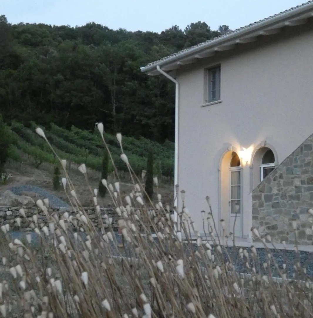 B&B Il Vecchio Molino Quercianella
